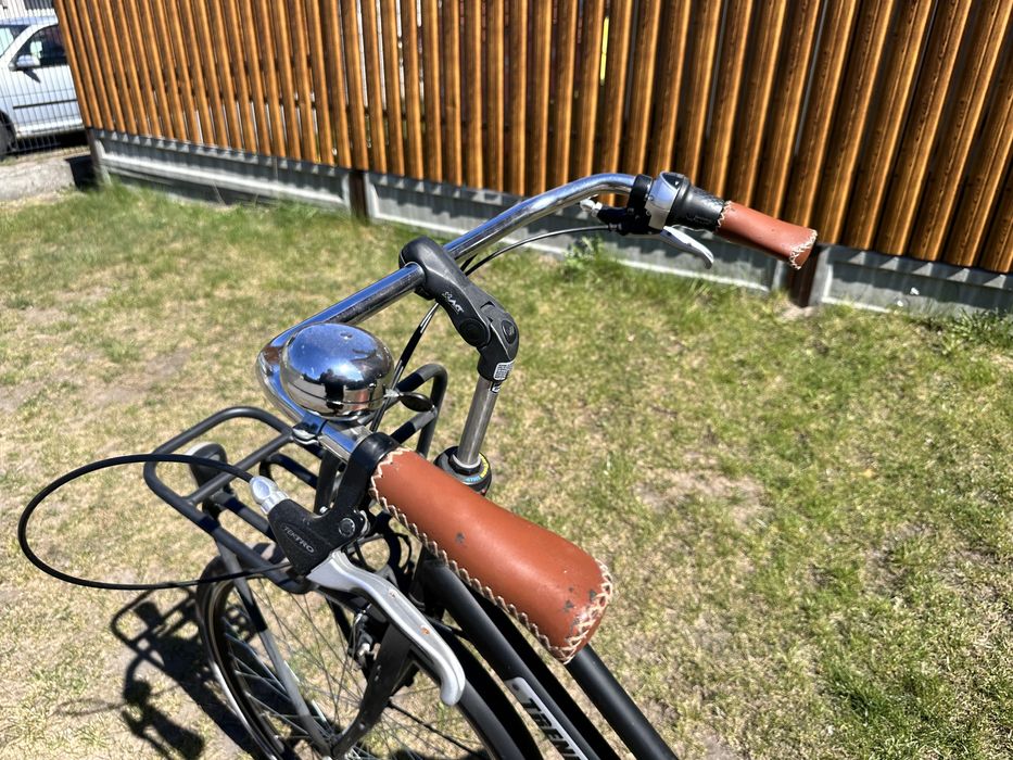 Miejski rower męski trenergy holenderka