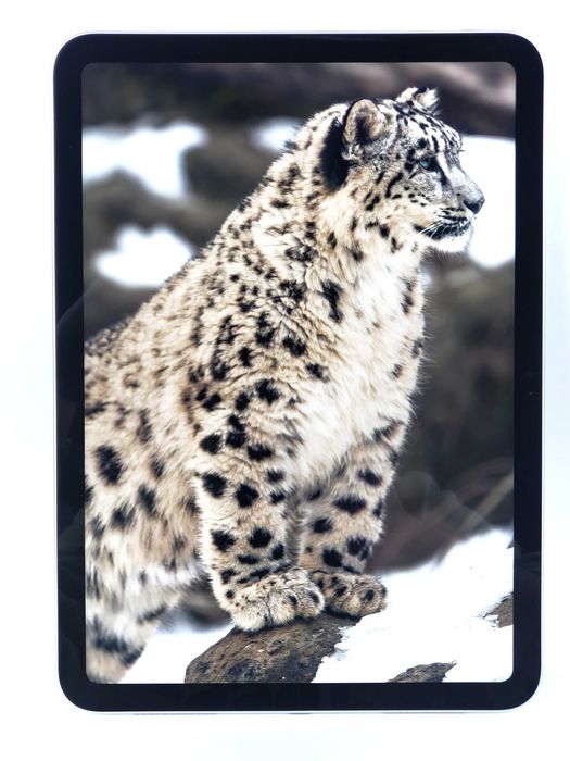 Apple iPad 11 2025 Silver 128GB Wi-Fi 0 ЦИКЛІВ Dream Store