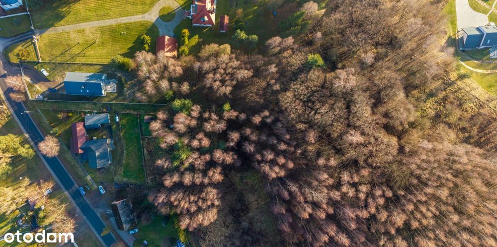 Działka budowlana z własnymi skałkami Jurajskimi - Widok 5