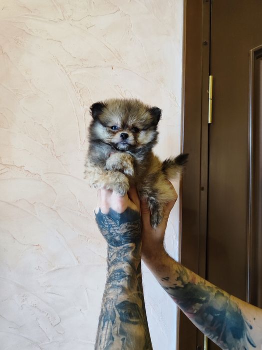 Подаруночки ! Продаж