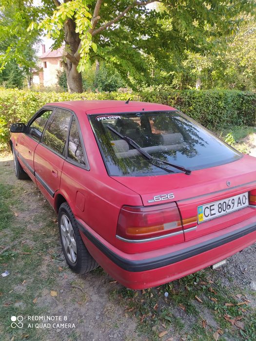 Бодрая лошадка ждёт нового хазяина