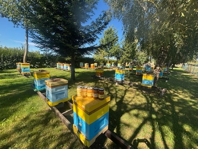 Miód z mojej pasieki
