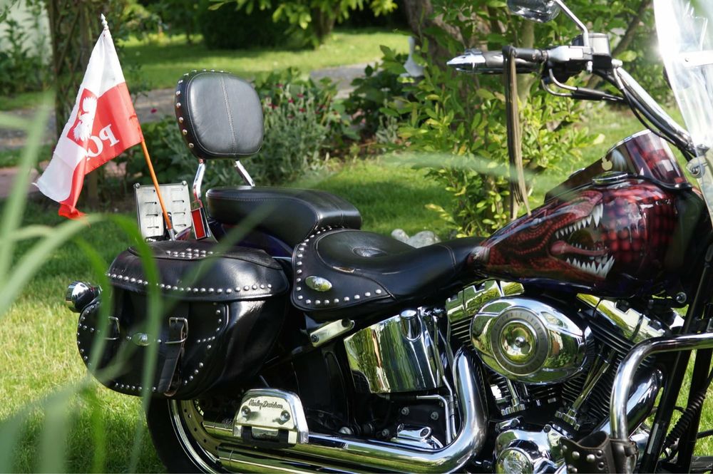 Harley Dawidson Softail