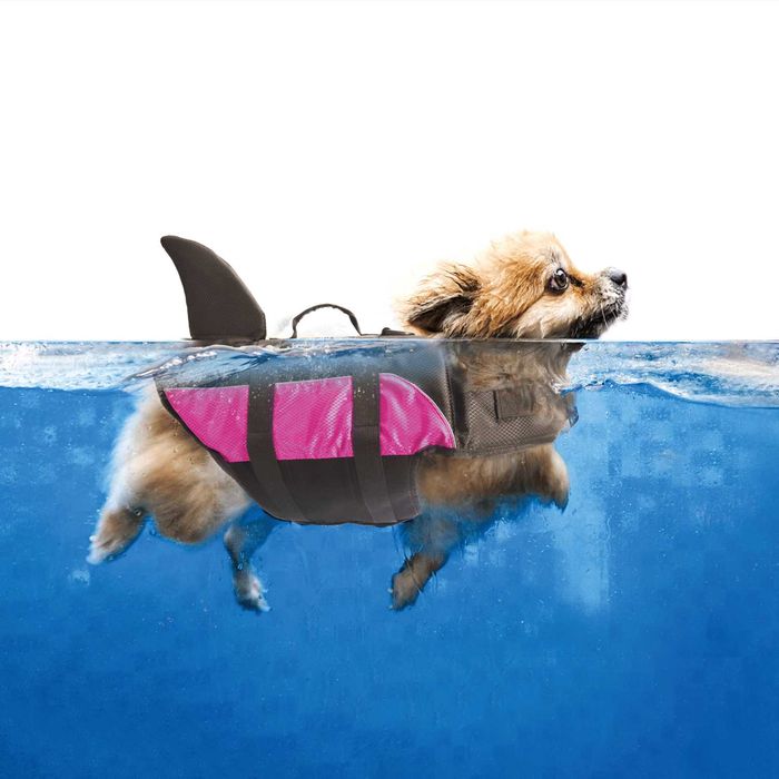 NOVO - Colete Salva-Vidas TUBARÃO para Cão, life jacket