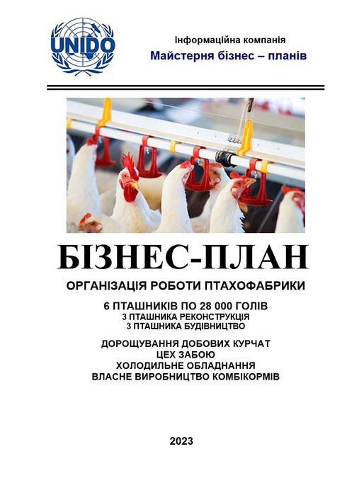Бізнес-план Вирощування птиці. Кури-бройлери, гуси, індичка, яйце кур