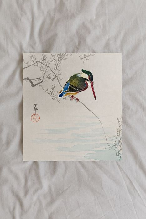 plakat 30x30 "Zimorodek" Ohara Koson