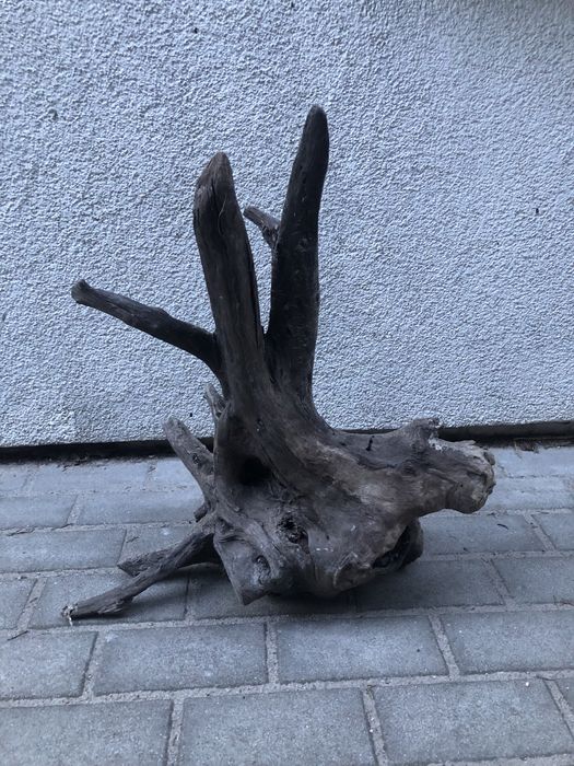 Korzeń do akwarium lub terrarium