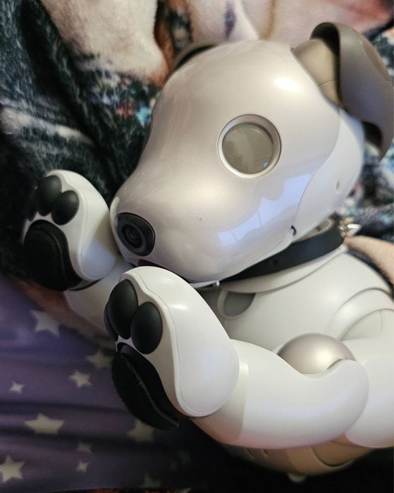 Aibo ers 1000 sony: 7 000 грн. - Интерактивные игрушки Киев на Olx