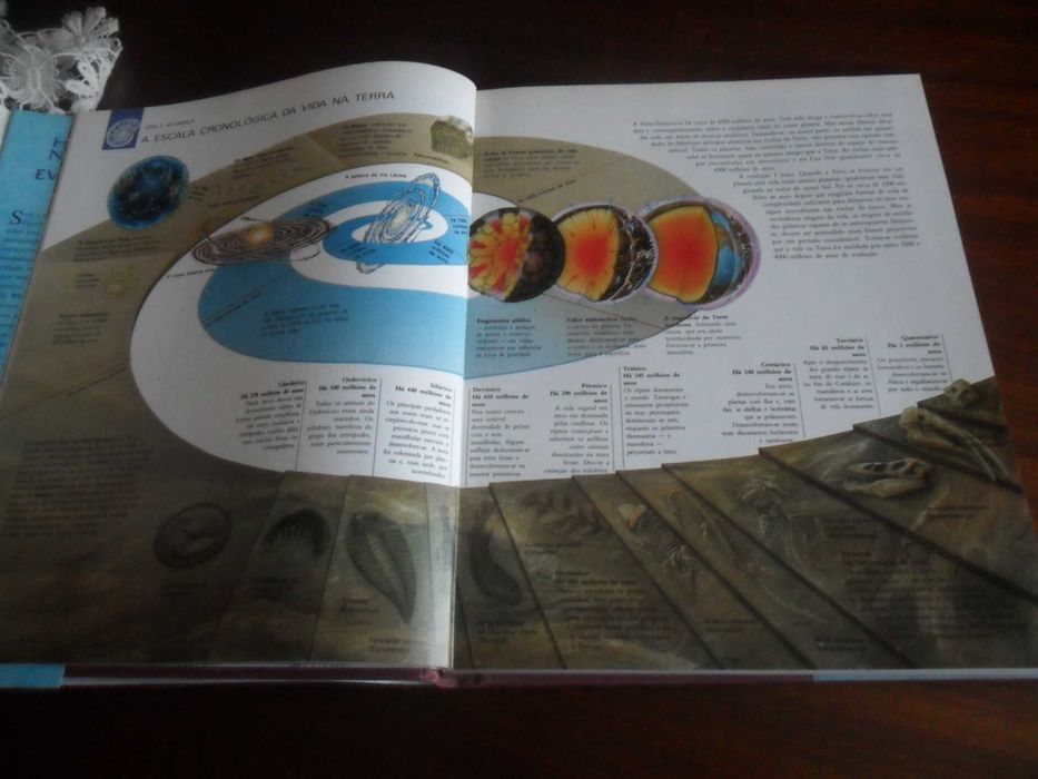 "História Natural da Evolução" de Philipe Whitfield - 1ª Edição 1994