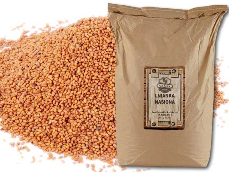 Lnianka Lnicznik,czyszczona Polska 1 tona super jakość na olej