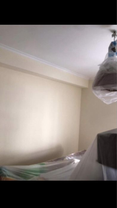 Pedreiro/ Pintor Profissional