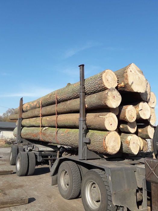 Tarcica Jesion Sucha