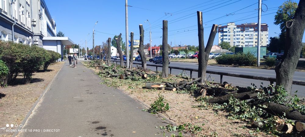 Покос трави кущів газонів Спил Аварійних дерев Автовышка Подрібнення г