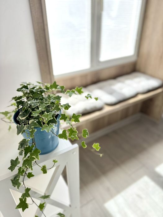 Apartment in Lviv - More