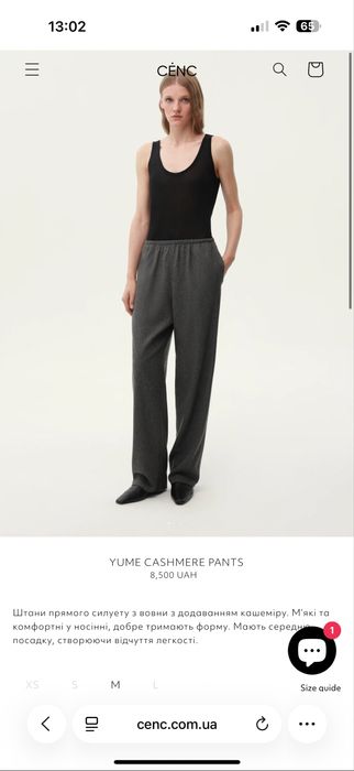 Кашемірові сірі штани Cenc