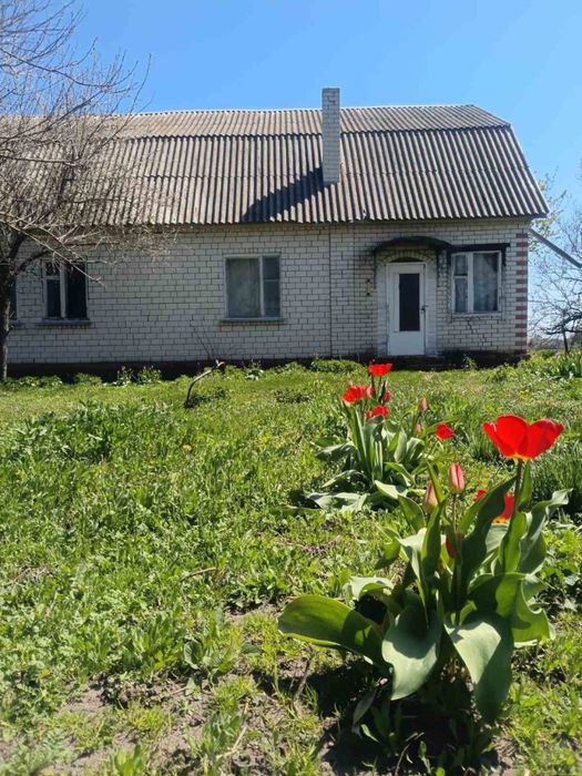 Продається будинок із земельною ділянкою. Прилуцький район, с. Гнідинці