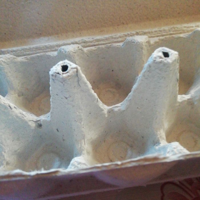 Картонний лоток для яєць