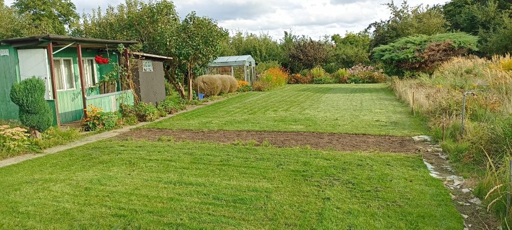 Działka  ROD  Kwitnących Jabłoni w Koszalinie  830m2