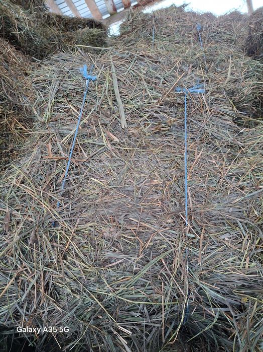 Сіно в тюках урожай 2025 р