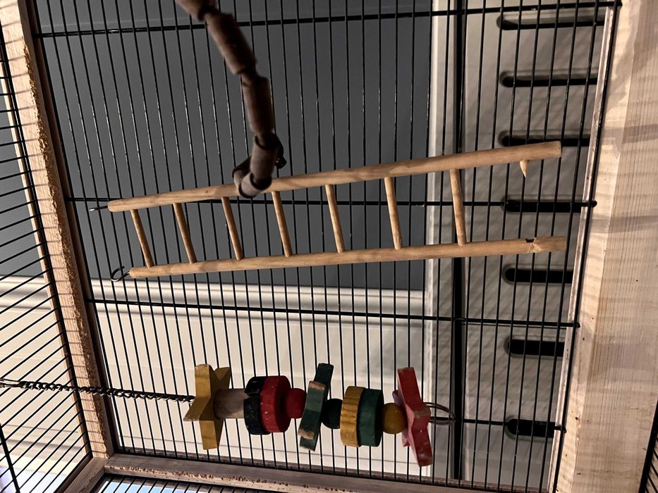 Італійська клітка для папуг