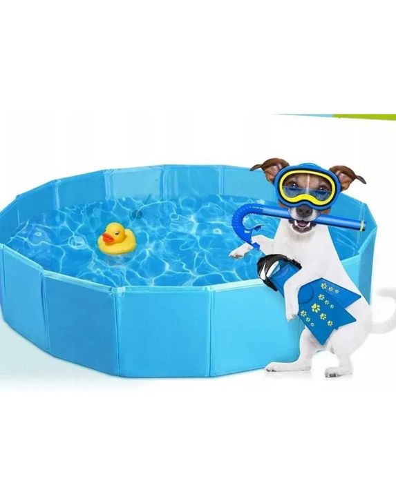 Бассейн для собак.