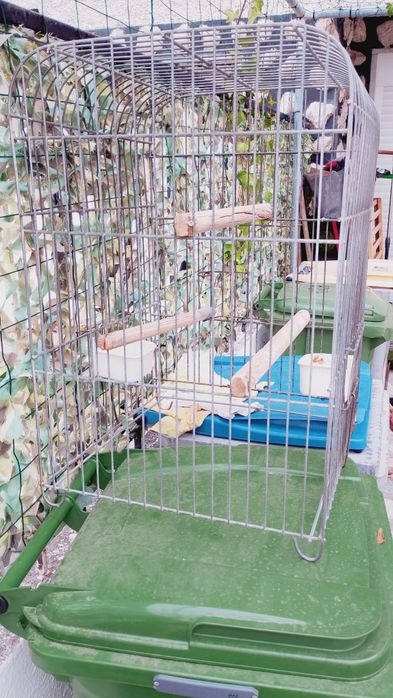 Gaiola para papagaio  em arame
