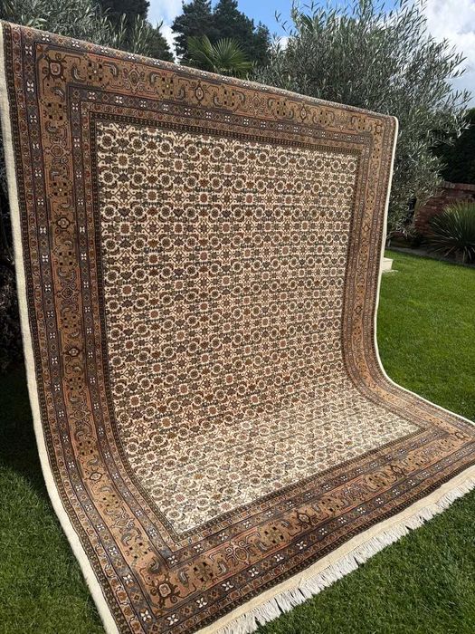 Idealny Dywan Perski Kaszmirowy Indo Bidjar 315x250 galeria 25 tyś