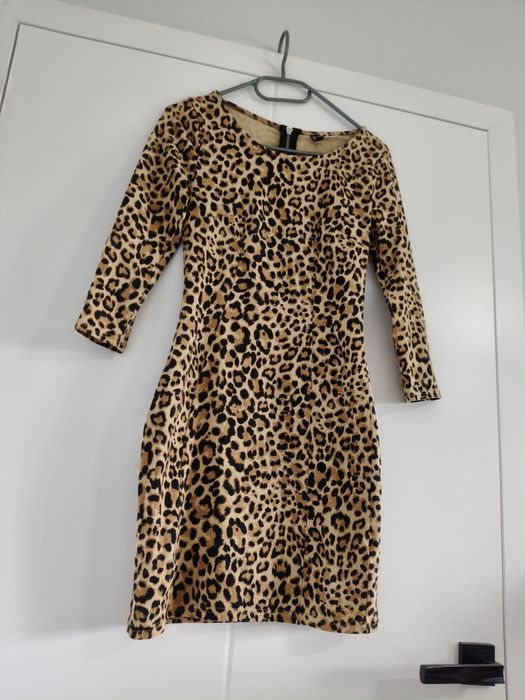 Leopard dress cotton sukienka bawełna panterka S