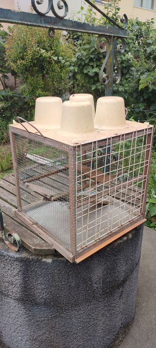 Gaiola urbana capoeira abrigo para animais exterior  vendo ou troco