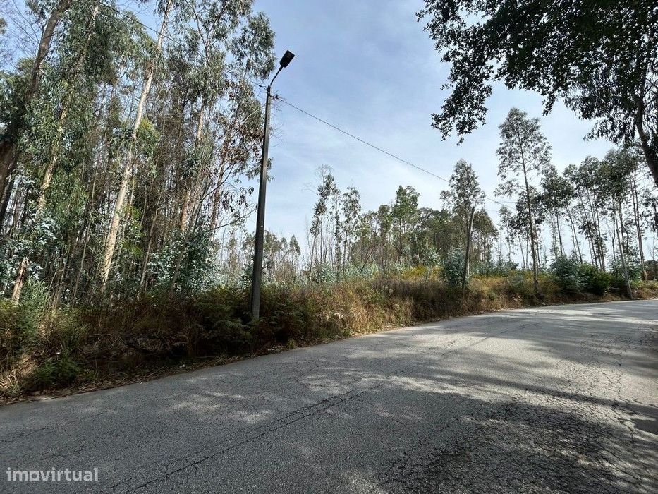 Terreno à Venda | 2.550 m² | Gougeba
