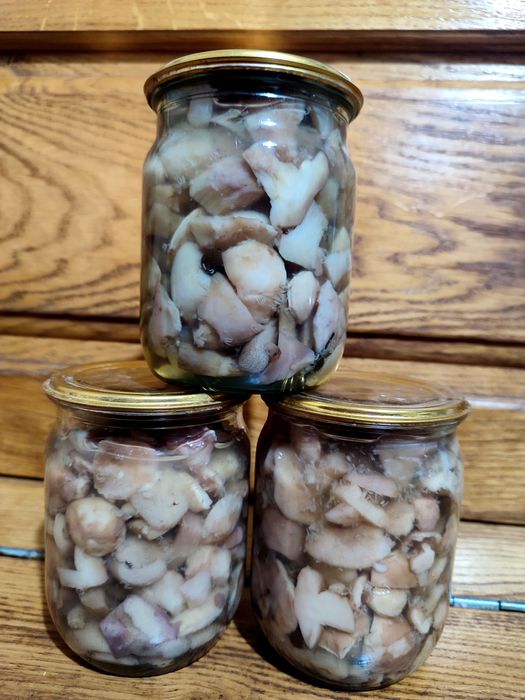 Мариновані маслюки та зеленушки 2025 р