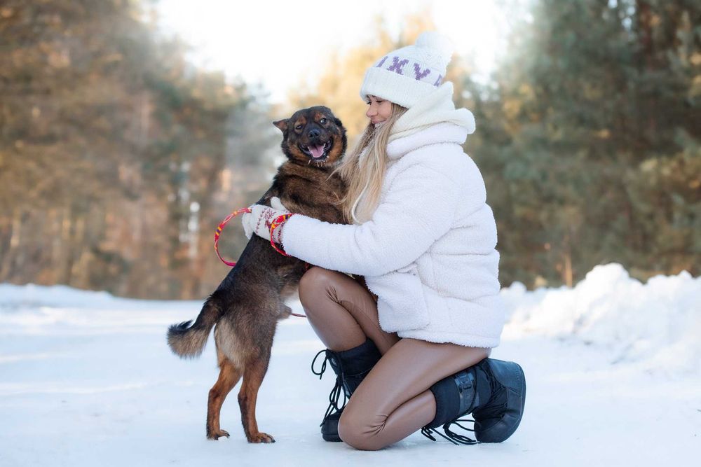 BENIO - mały wesoły psiak poleca się do pokochania