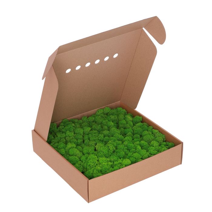 Стабілізаційний Мох. Cкандинавський Ягель