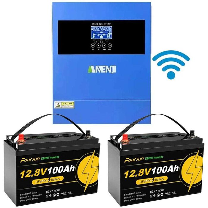 РОЗПРОДАЖ|Комплект резервного живлення Інвертор Anenji WiFi 24 В + 2 акумулятора 12V 100Ah