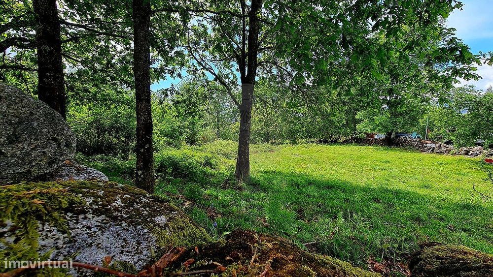 Terreno  para venda — Ruivães E Campos, Braga