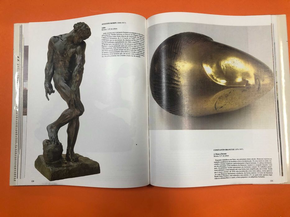 Museus de Nova Iorque -Michael T. Stein - Oceano Liarte