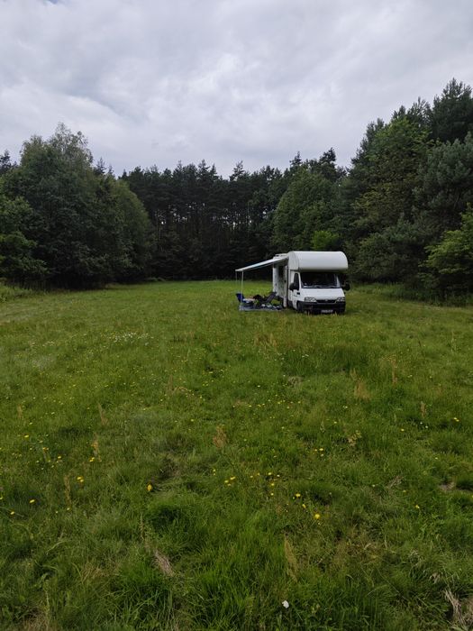 Twój własny dom z „drzwiami do lasu” – działka 45 arów z bezterminowymi WZ - Widok 5