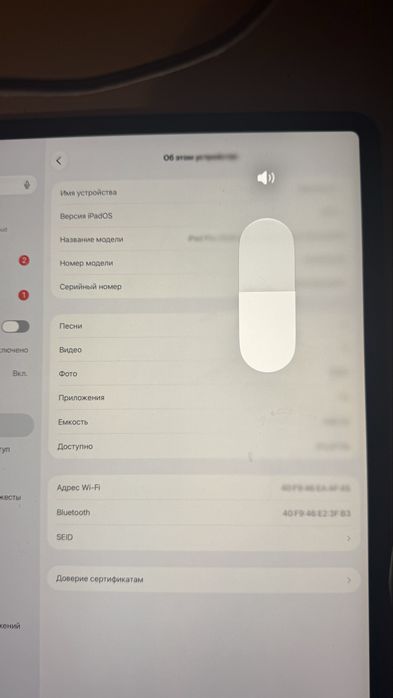 iPad pro 12.9 gen 4 256gb