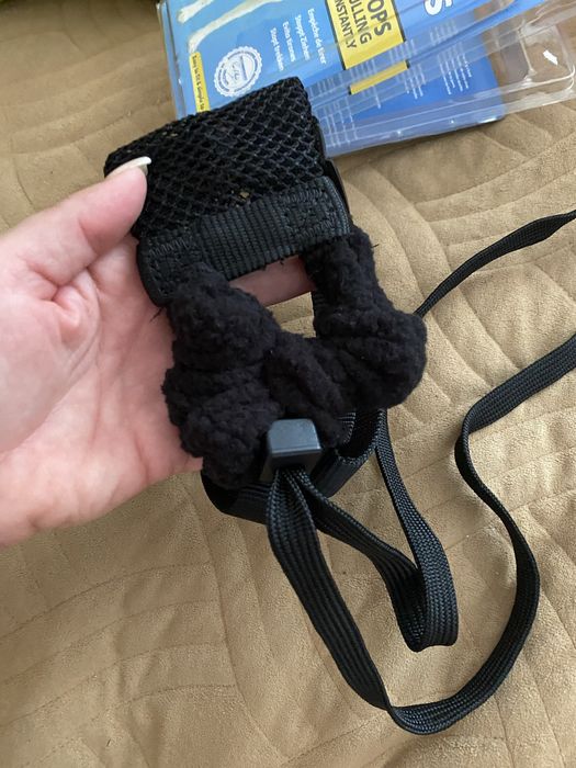 Шлія  собаки або кота