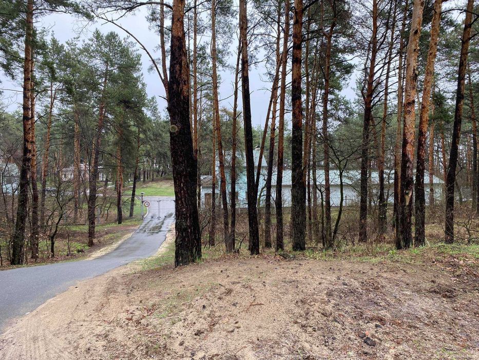 Продажа участка с лесом в селе Конча- Заспа в городке .Обуховский р-н