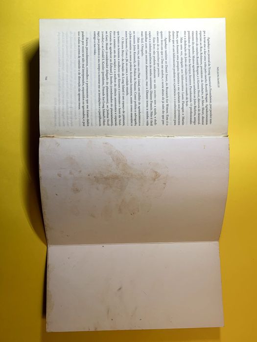 O Jogo do Leão - Nelson DeMille