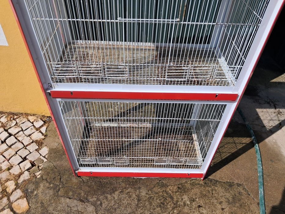 Viveiro para pássaros