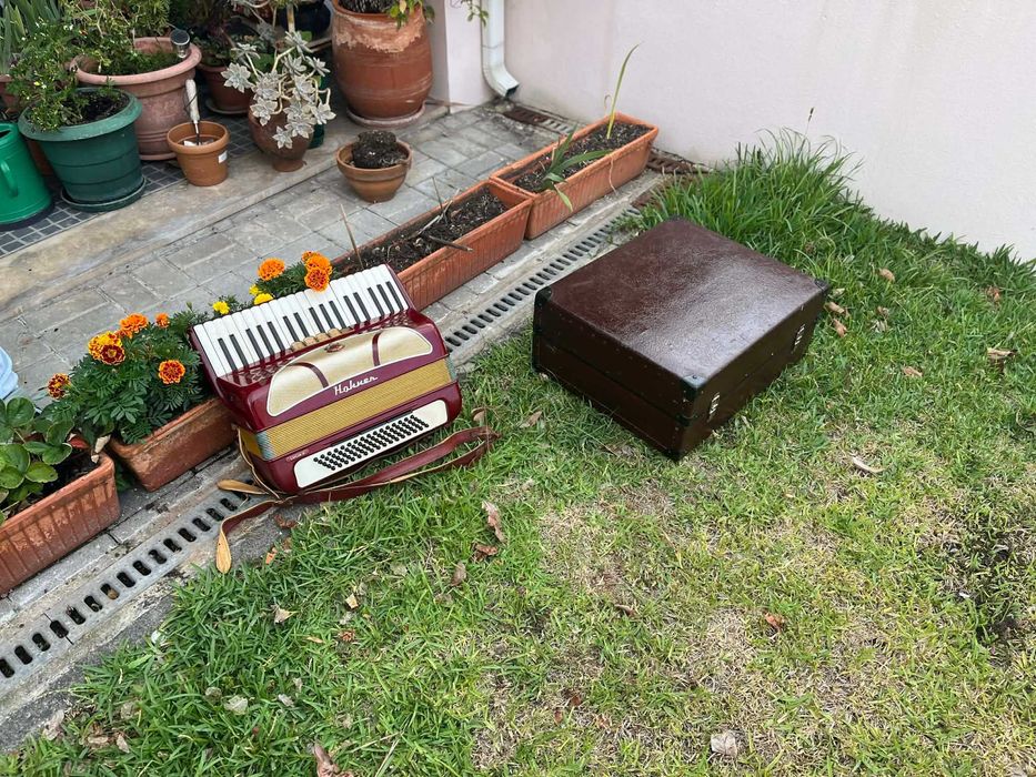 Acordeão Hohner Lucia II 80 Baixos