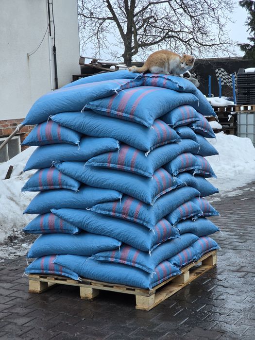 Pellet Sobianek Barlinek Olczyk Lava Olimp Sylva Pelleton Pelet Feniks