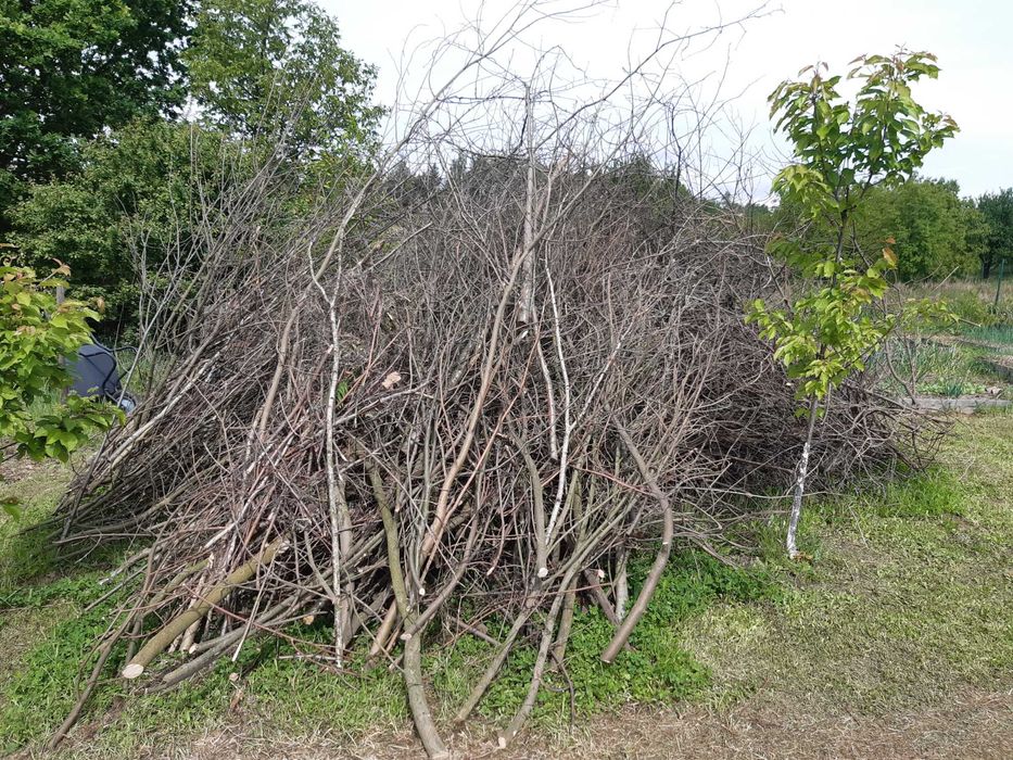 Usługi rębakiem do gałęzi / mielenie gałęzi