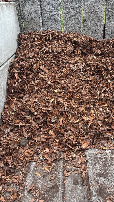 Kora sosnowa GRUBA II gat.