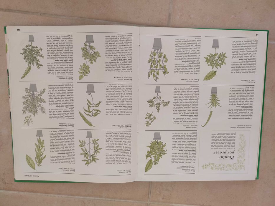 O Jardim em sua casa - George Seddon