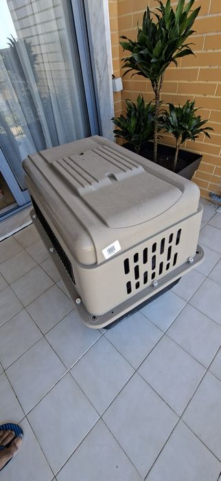 Caixa para transporte