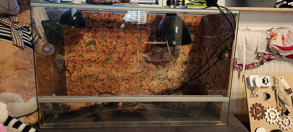 Sprzedam terrarium