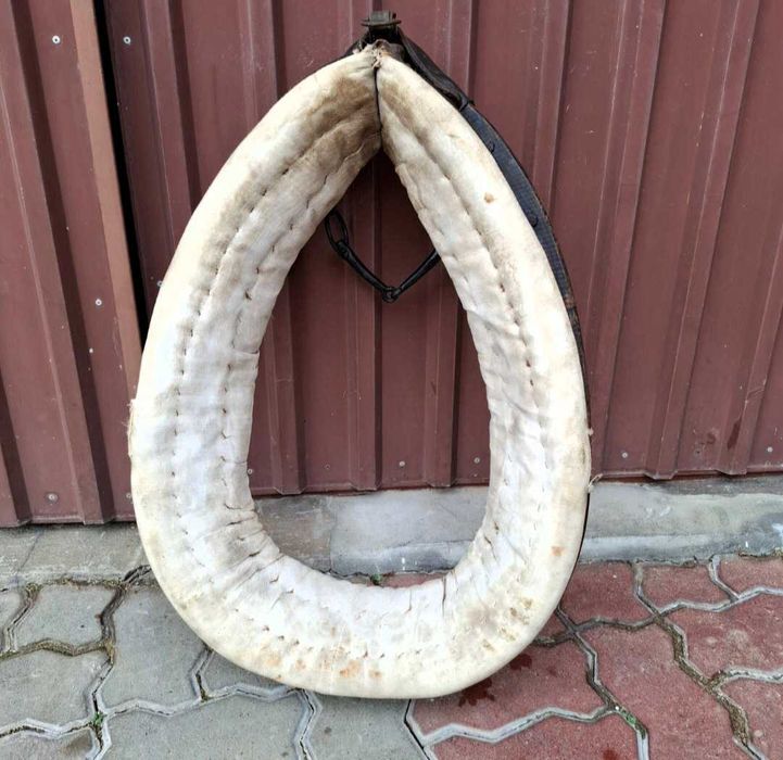 Chomąto na konia